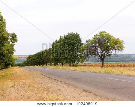 Old Damaged Asphalt Road In Rural Ukraine. Rural Landscape.
