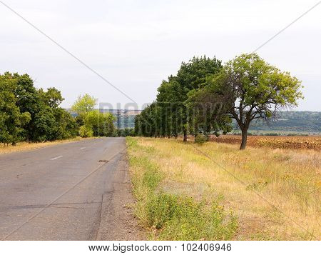 Old Damaged Asphalt Road In Rural Ukraine. Rural Landscape.