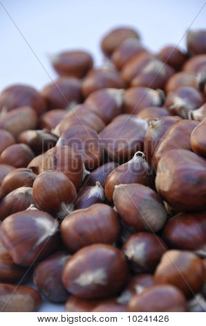 chestnuts