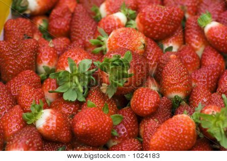 Erdbeeren