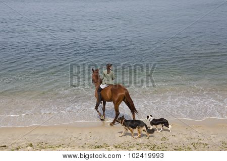 BAIONA, GALICIA, SPAIN - AUGUST 26: young woman riding a horse with her dogs at the beach, on August 26, 2015 in Baiona, Galicia, Spain