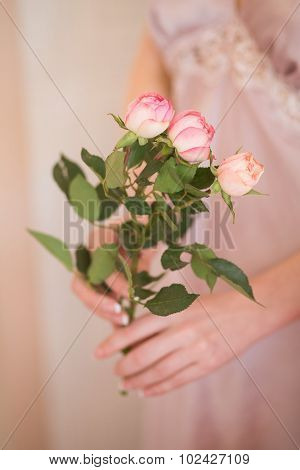 Woman's Hands Holding Rose