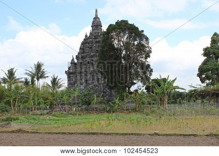 Sojiwan temple