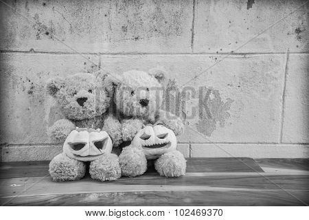 Teddybears with carved pumpkins