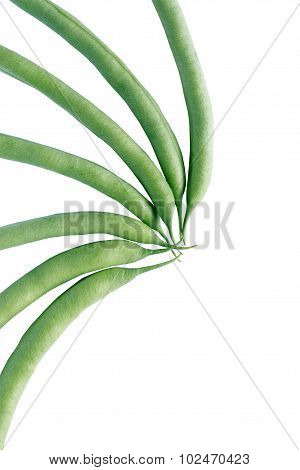 Beanstalks On White
