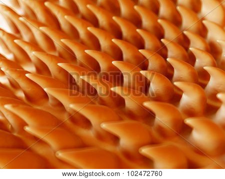 SEM style illustration of the tongue surface