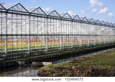 Greenhouse Exterior