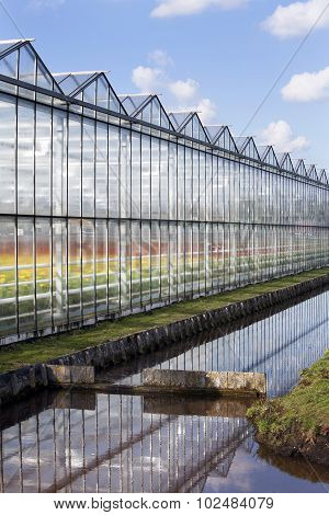 Greenhouse Exterior