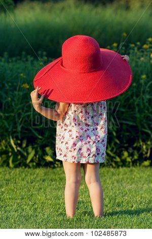 Little Red Sunshade