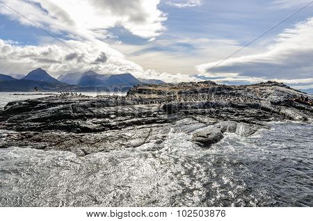 Beagle Channel, Ushuaia, Argentina