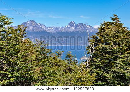 Tierra Del Fuego National Park, Ushuaia, Argentina