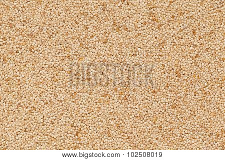 Organic White Poppy seed.