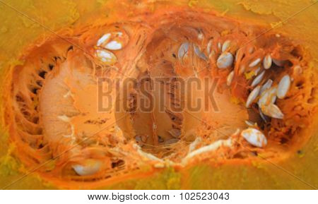 picture of an organic pumpkins for sale in a market
