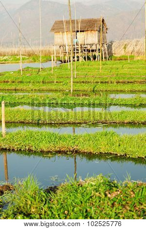 Floating Village Houses In Inle Lake, Myanmar