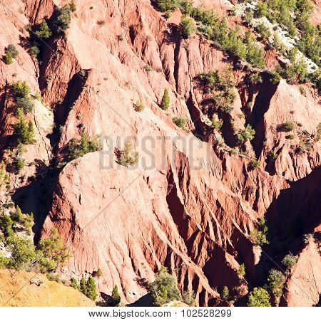 The    Dades Valley In Atlas Moroco Africa Ground Tree  And Nobody