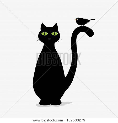 Cute Black Cat And Bird