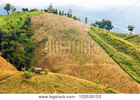 Landscape Of Mountains