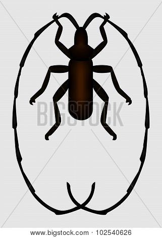 Bug. Vector EPS 10.