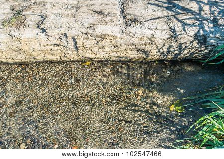 Seahurst Beach Stream Closeup