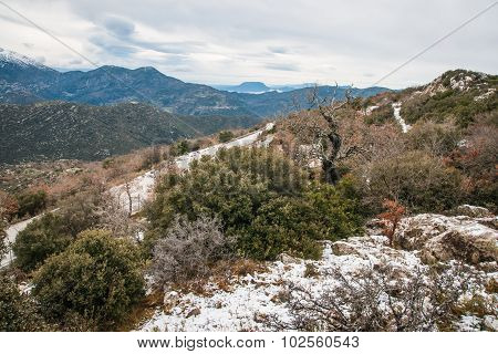 Winter Landscape In The Mountains Near Vassa, Greece