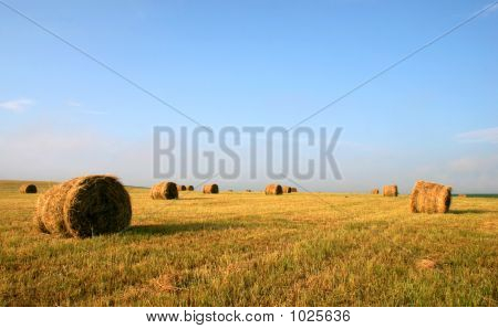 Stack-Netzwerk