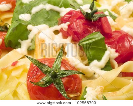 Pasta Collection - Fettucini With Tomatoes, Basil And Mozarella