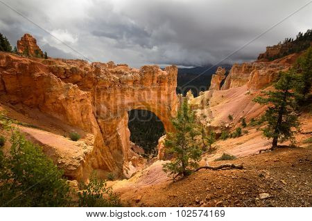 Natural Bridge