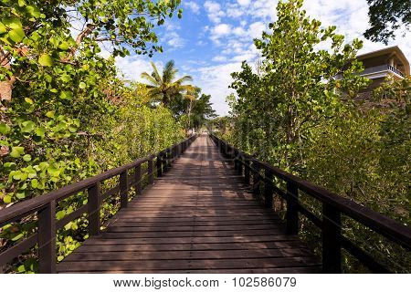 Indonesian Landscape With Walkway