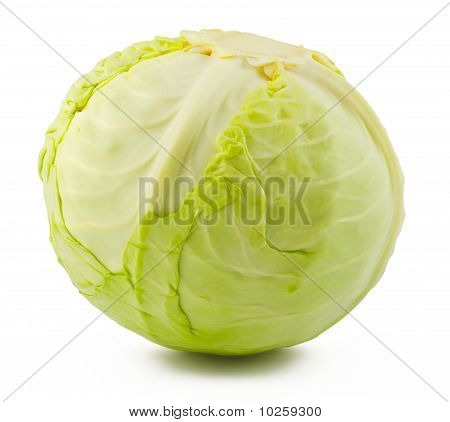 Zielony Gabbage