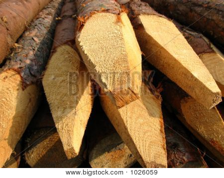 Wood