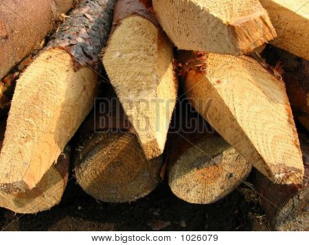 Wood