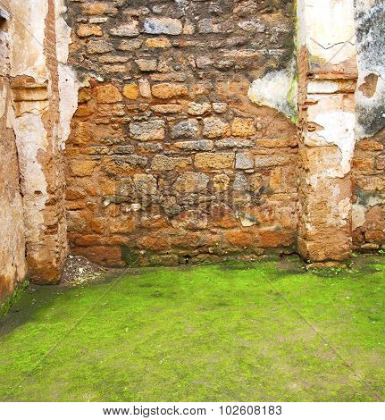Chellah  In Morocco Africa The Old Roman Deteriorated Monument And Site