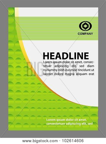 elegant business brochure flyer design