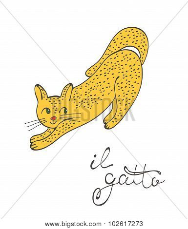 Cute cat character with italian lettering of cat word