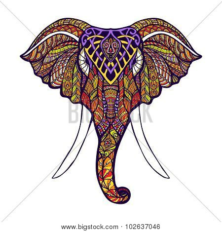 Elephant Head Colored