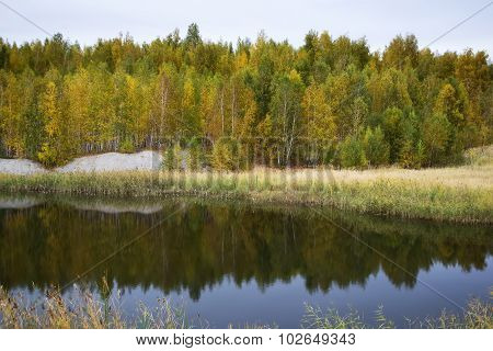 autumn landscape