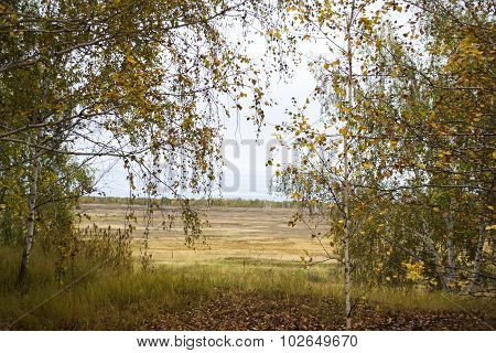 autumn landscape