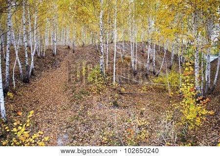 autumn landscape