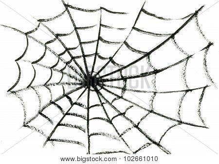 Spider Web
