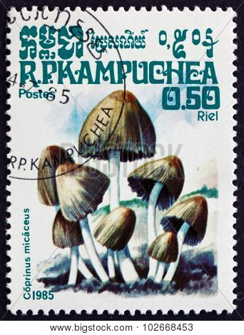 Postage Stamp Cambodia 1985 Mica Cap, Mushroom