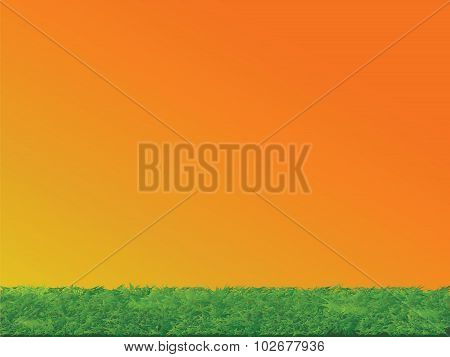 Green Grass Sunset Sky Landscape