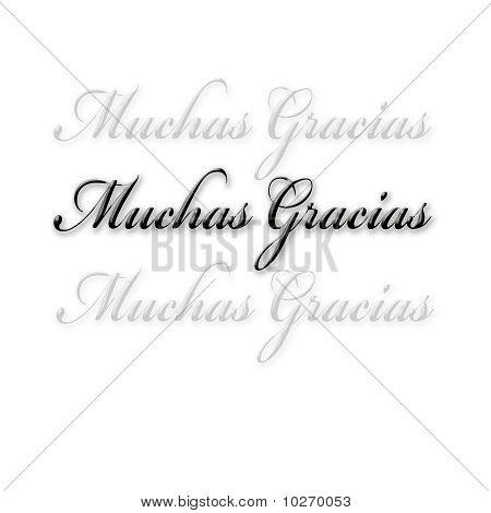 Muchas Gracias