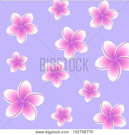 Plumeria seamless pattern
