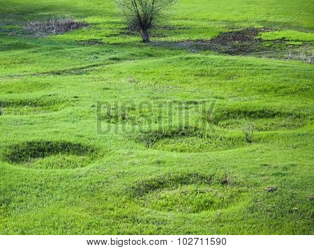 Crop Circles