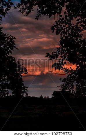 Bright beautiful sunset