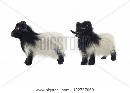 Isolated male sheep toy photo