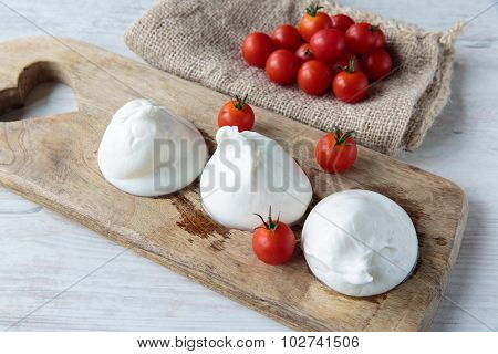 Burrata Cheese