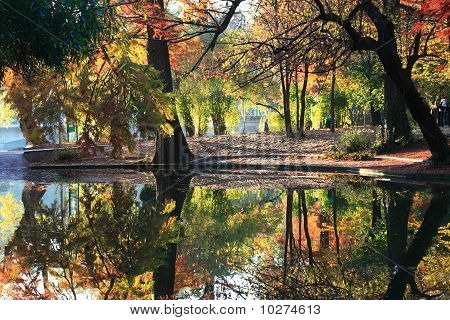 Autumn scene