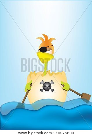 Pirata di pollo