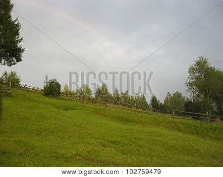 Rainbow, green grass, spring
